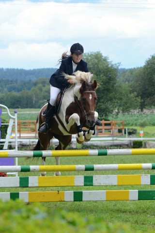 Vikina, všestrannost L Humpolec (Stříbrná podkova), červenec 2012