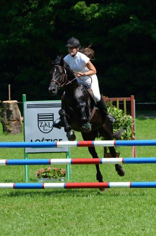 Carthago, všestrannost ZL Loštice (KMK pětiletí), červen 2012, vybojoval 5. místo