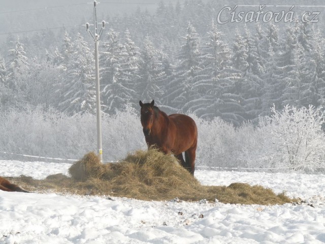 Agáte je v balíku:-)