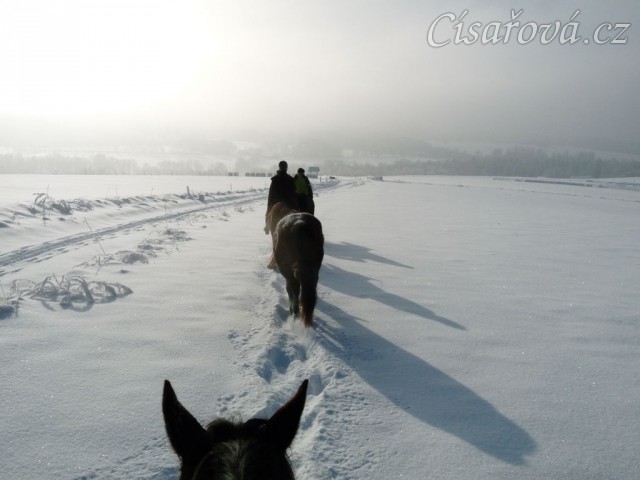 Všichni v jedné stopě:-)