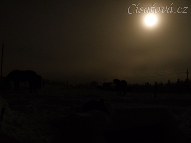 Fotky za svitu měsíce...