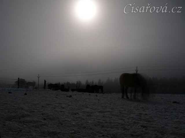 Fotky za svitu měsíce...