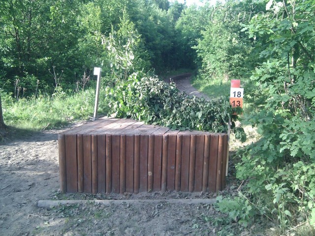 Brno, špice s proutěnkou v lese