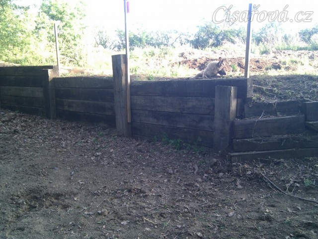 Brno, seskok  vysoký 120cm do lesa