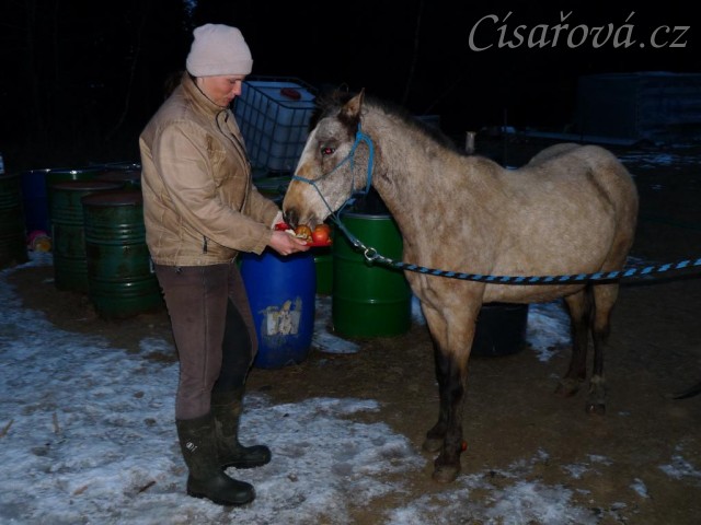 24.3.2013 - Greisy oslavila 20. narozeniny:-) Tak ať s námi vydrží ještě dalších 20 let:-)