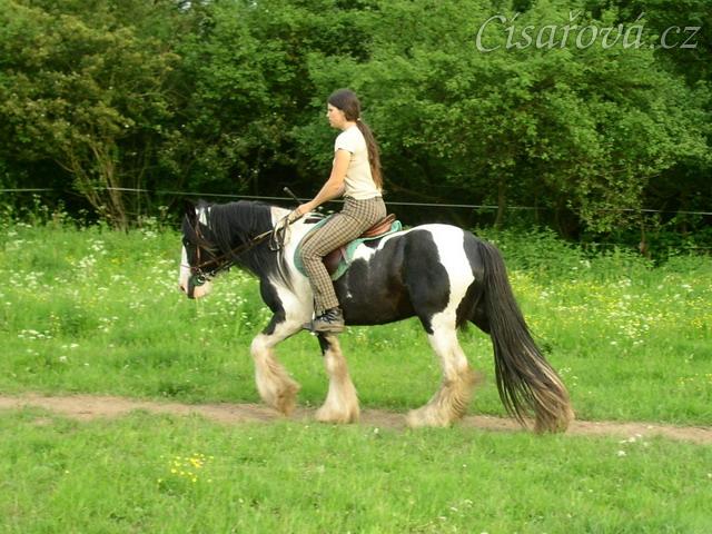 Bas po dvou měsících ve výcviku, jízdárna - krokem po obvodu