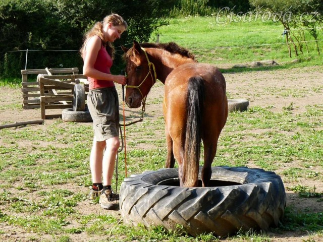 Chelsea při práci ze země