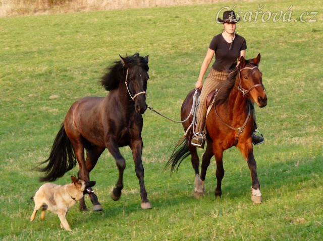 Ducado na vyjížďce na laně