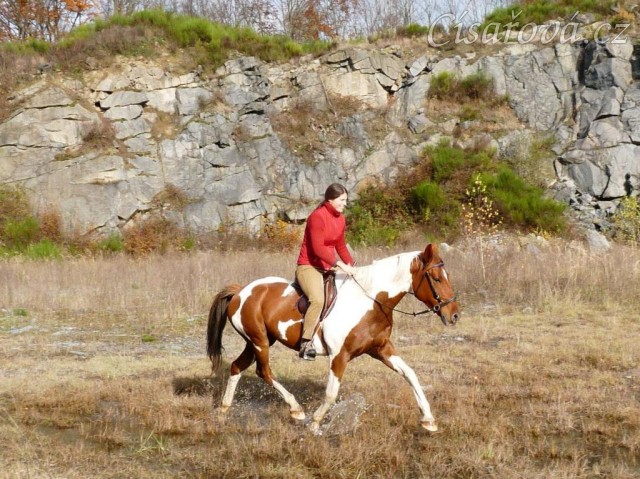 Vikina kluše vodou v lomu
