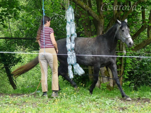 Kasira při práci ze země - prochází mezi zavěšenými pet lahvemi