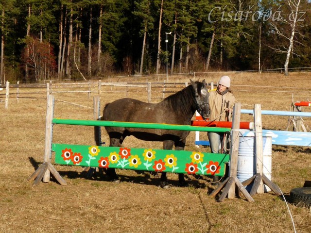 Tříletý Divíšek, práce ze země, vysílání do uzavřeného prostoru