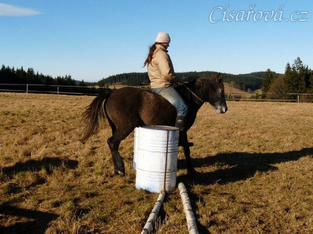 Tříletý Divíšek, zastavení mezi sudy...