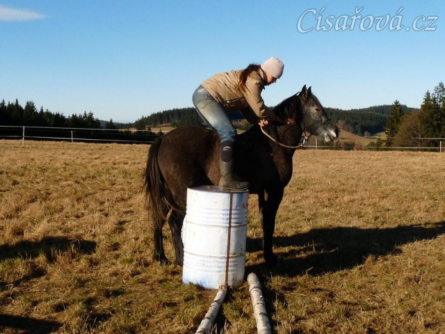 Tříletý Divíšek, nácvik klidného stání, ať člověk na něm dělá cokoliv:-)