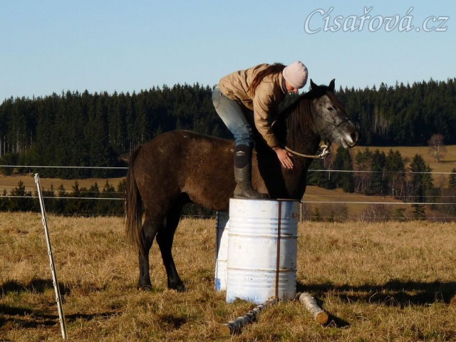Tříletý Divíšek, nácvik klidného stání, ať člověk na něm dělá cokoliv:-)