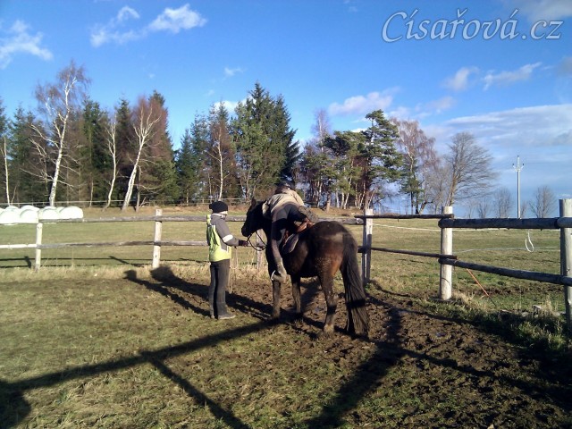 Obsedání problémového Welsh Coba Adventure, první nasednutí obkročmo