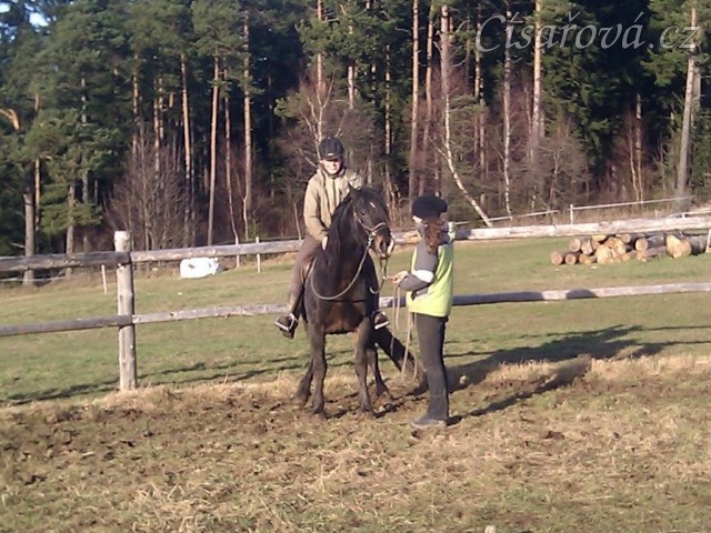 Obsedání problémového Welsh Coba Adventure, zrovna se lekl, co to na něm sedí:-)