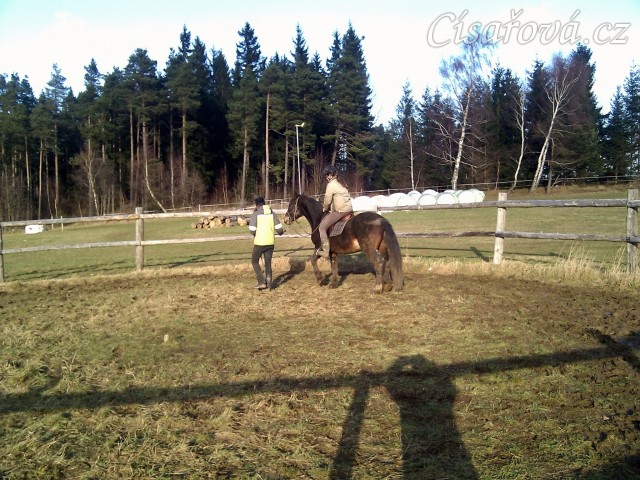 Obsedání problémového Welsh Coba Adventure, první chození s jezdcem na zádech