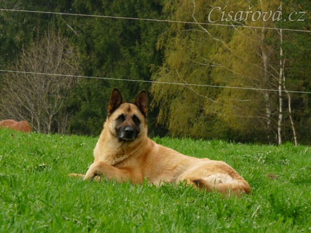 Samantha má vše pod kontrolou:-)