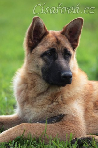 Foto Zdeňka Šimková