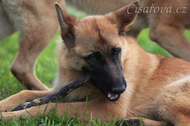 Foto Zdeňka Šimková