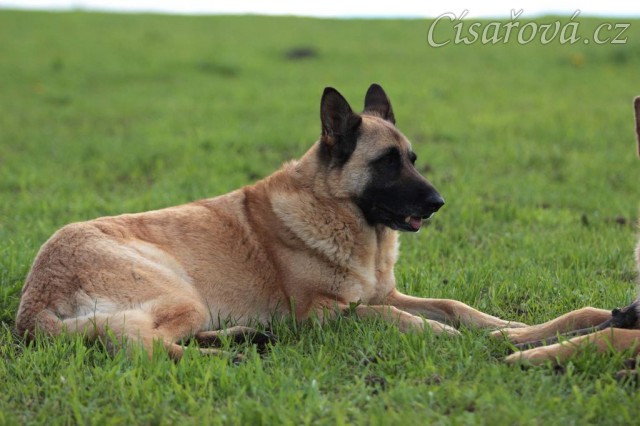 Foto Zdeňka Šimková