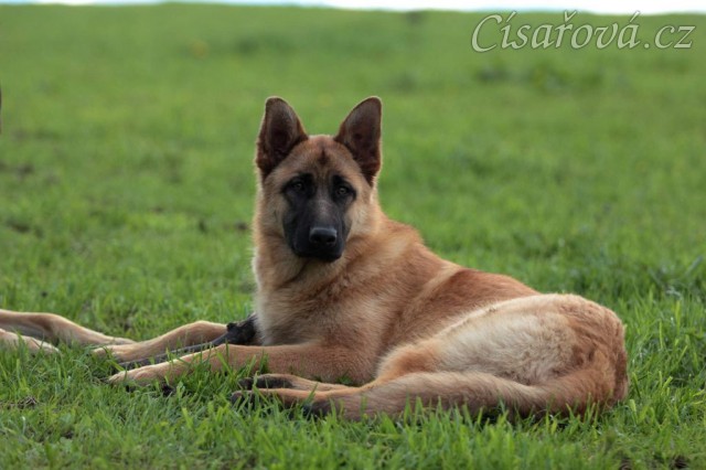 Foto Zdeňka Šimková