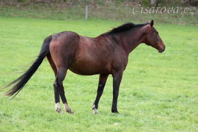 Foto Zdeňka Šimková