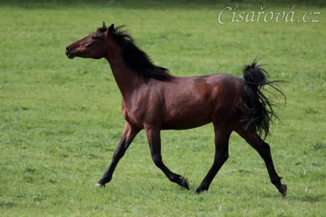 Foto Zdeňka Šimková