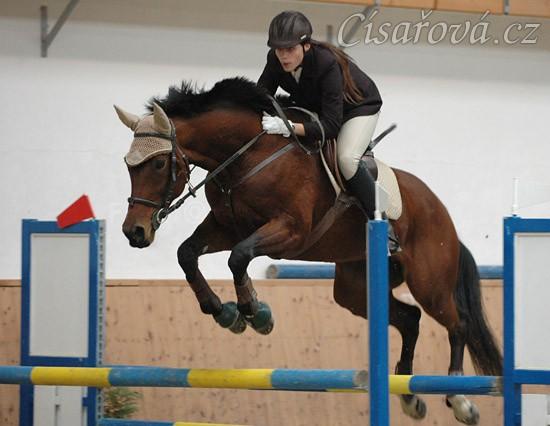 Závody na Císařském ostrově, parkur ZL