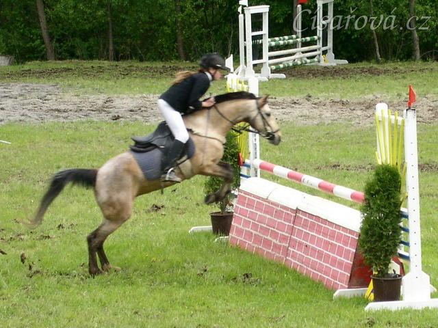 Závody v Herouticích, Parkur SP