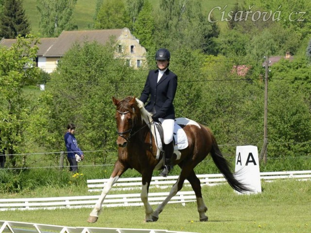 Všestrannost Borová květen 2013, Vikina při drezuře Stříbrné podkovy