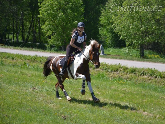 Všestrannost Borová květen 2013, Vikina v crossu Stříbrné podkovy