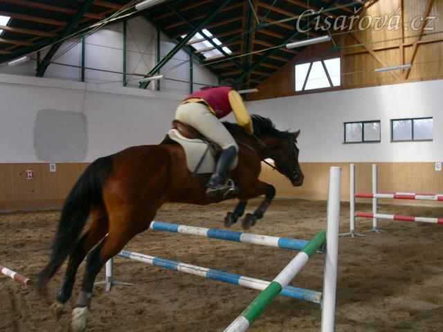 Skákání skokové řady