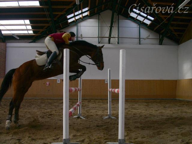 Skákání skokové řady