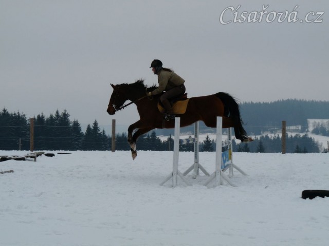 Takhle u nás začal letos v březnu skokový trénink  - na sněhu:-)