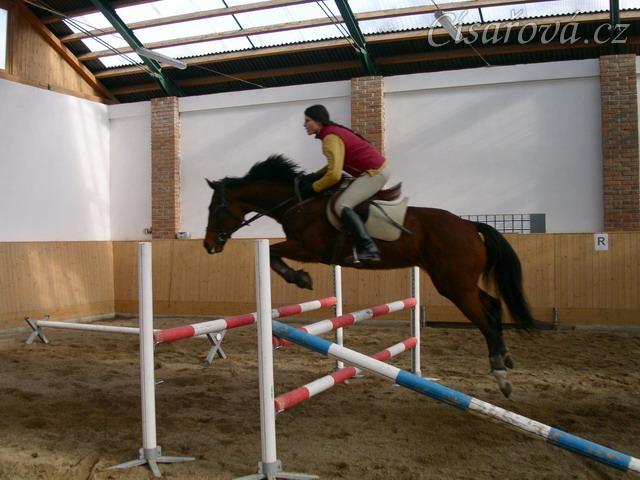 Skákání skokové řady