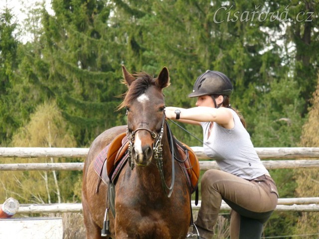 Pětiletá Fivitas Dei při práci na jízdárně