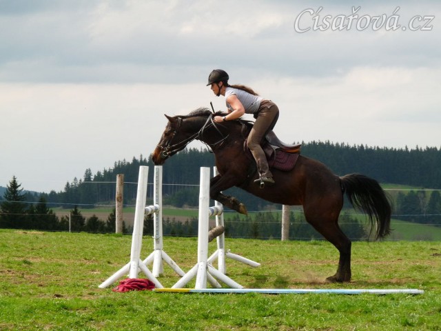 Pětiletá Fivitas Dei při práci na jízdárně