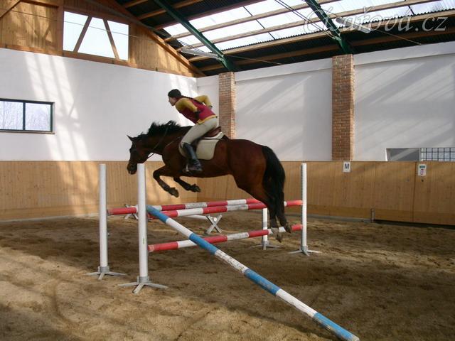 Skákání skokové řady bez otěží