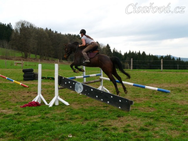 Pětiletá Fivitas Dei při práci na jízdárně