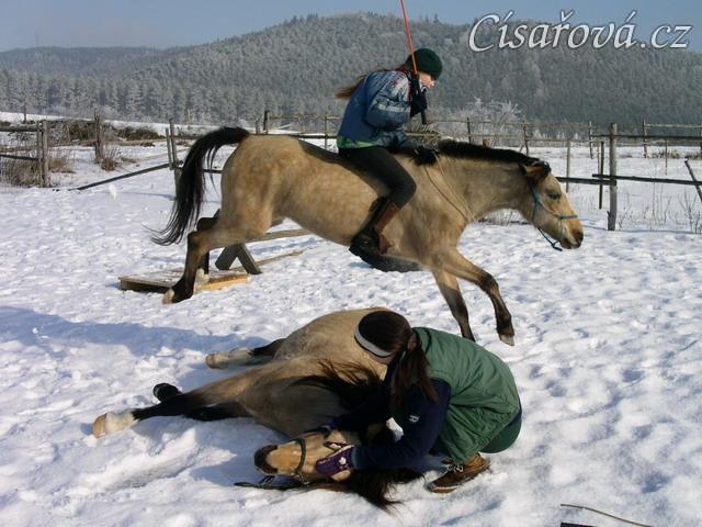 Greisy skáče přes Galena bez sedla i řízení