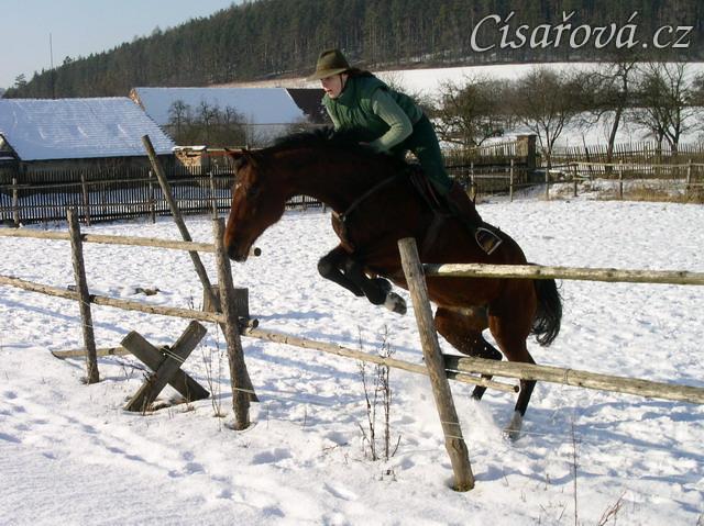 Výskok z ohrady "bez řízení"