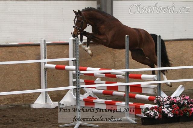 Otec Goldie, Ojoetsjni´s Grevenrit