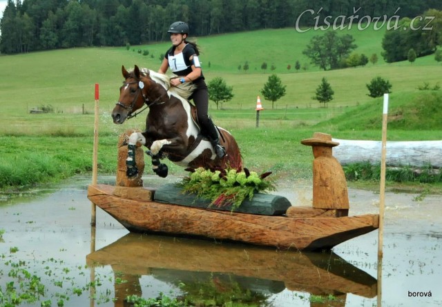 22.9.2013 - Vikina a Adéla Císařová startovaly v Borové poprvé ve všestrannosti stupně S (CNC*), cross překonaly tradičně čistě a umístily se na 6. místě.