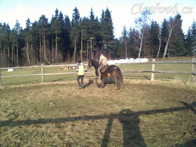 Obsedání Advíka, první ježdění v kroku