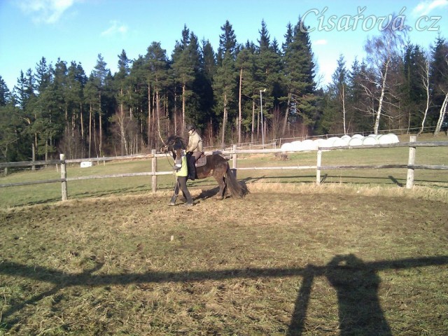 Obsedání Advíka, první ježdění v kroku