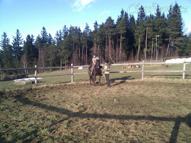 Obsedání Advíka, první ježdění v kroku