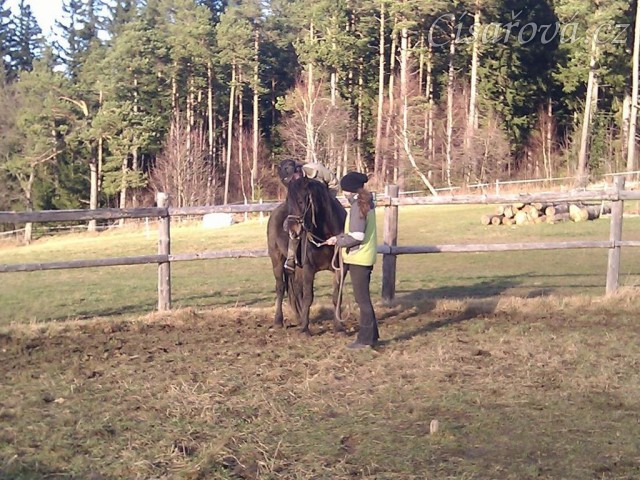 Obsedání Advíka, pochvala:-)