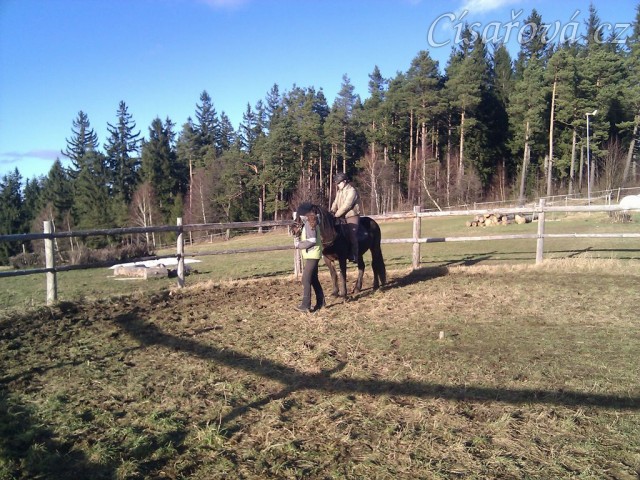 Obsedání Advíka, první ježdění v kroku