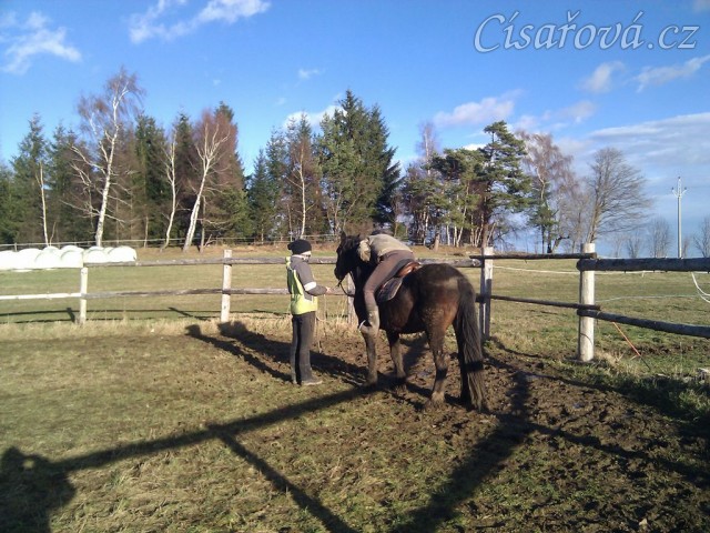 Obsedání Advíka, pochvala:-)